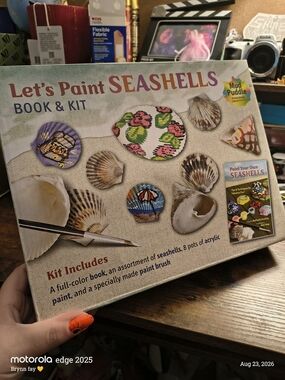 Let's Paint Seashells Kit - Multi
